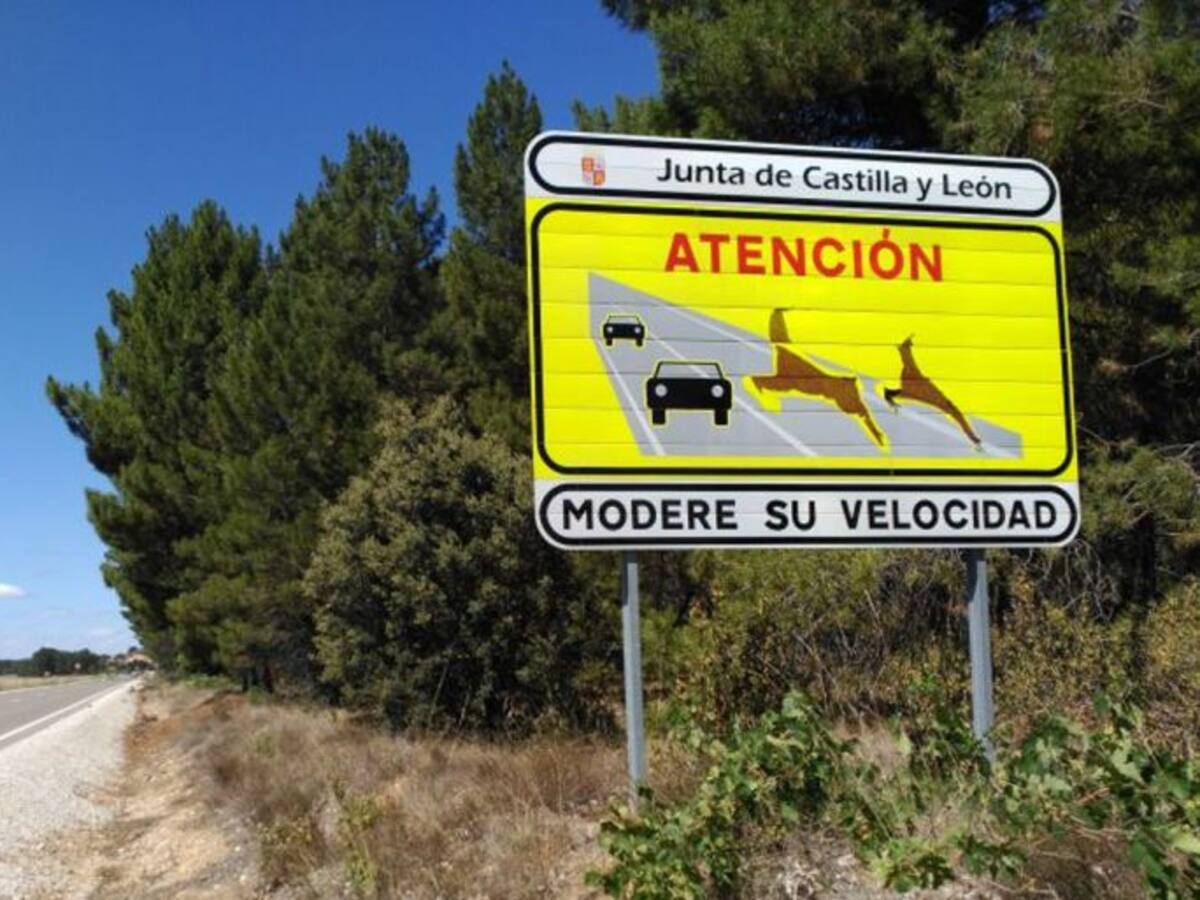 Evitar el atropello de lobos en la A-52