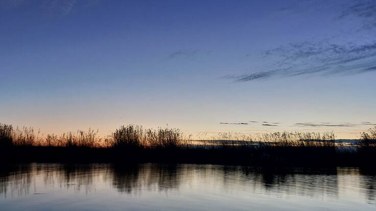 Ser Viajeros Comunitat Valenciana 08/02/2025