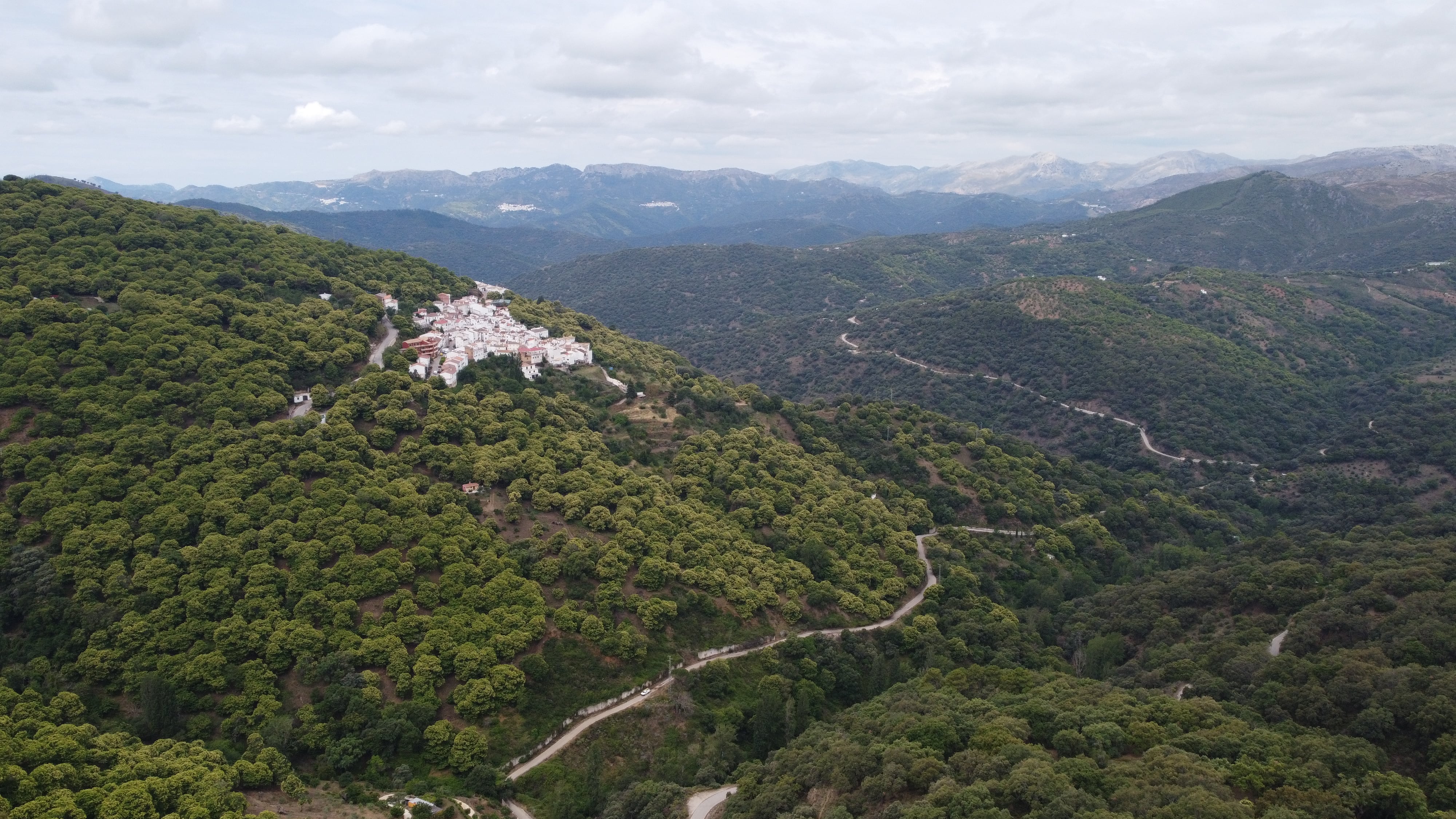 Una de las carreteras del Valle del Genal que conecta el municipio de Pujerra e Igualeja con Ronda