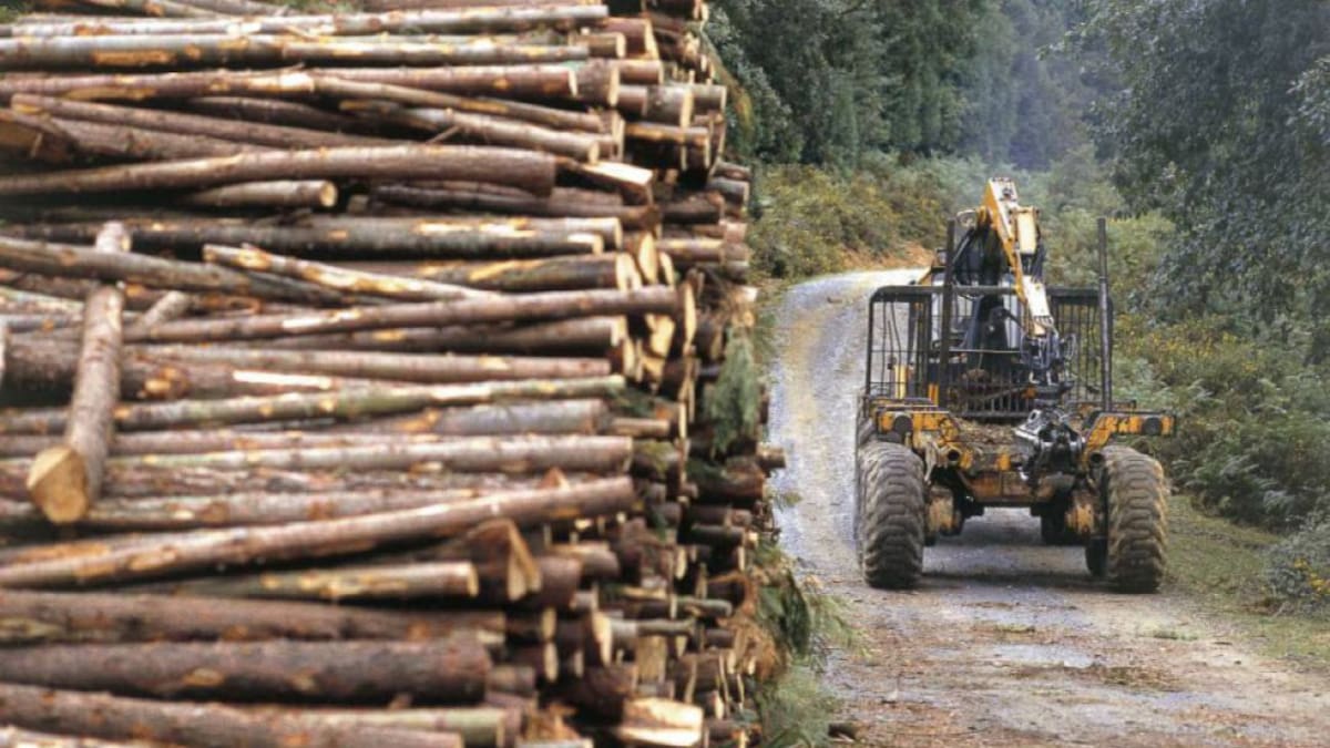 La fundamental labor de trabajar y cuidar el ámbito natural de Eibar