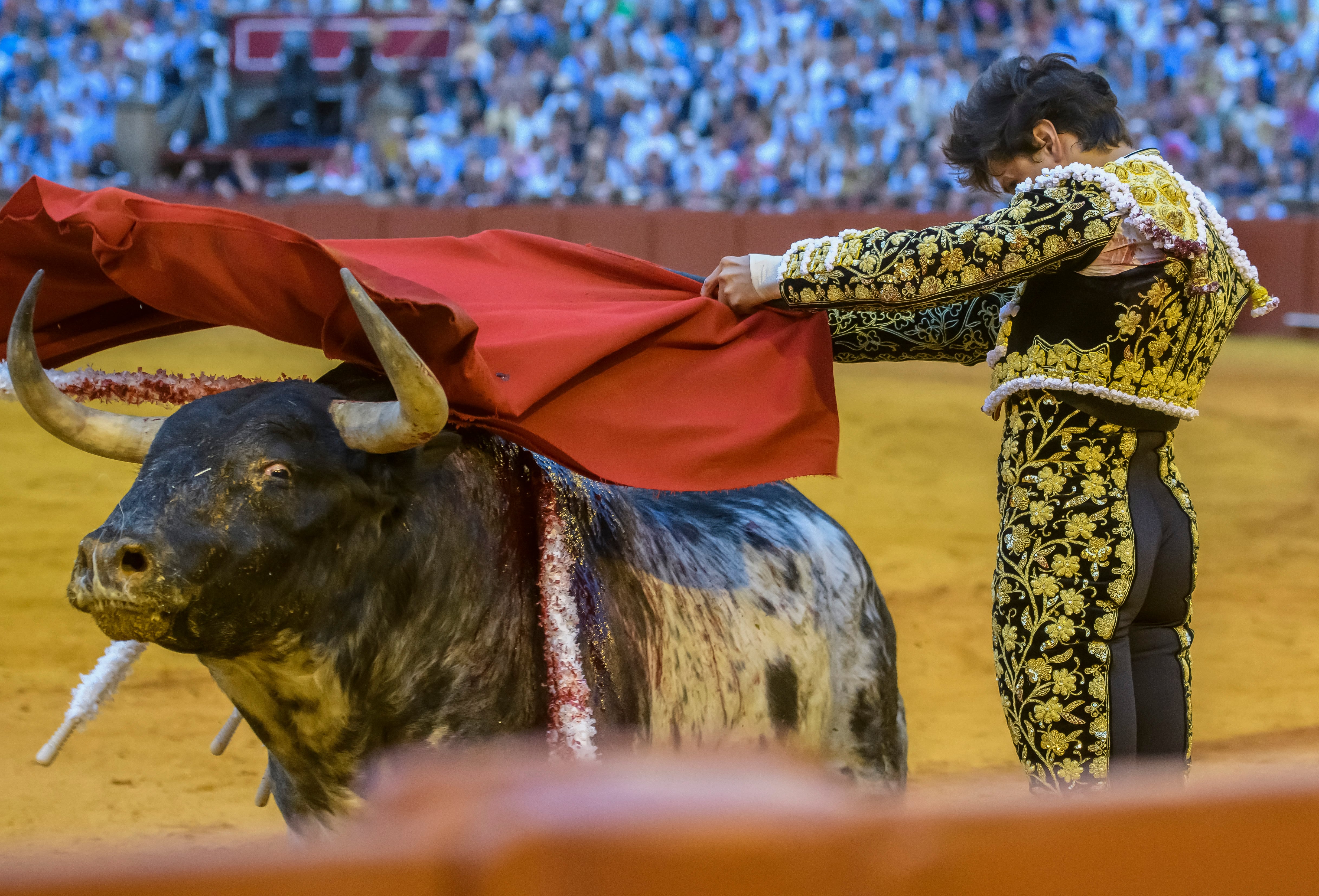 SEVILLA. 28/04/2023. - El diestro peruano Roca Rey da un pase a su segundo toro, este viernes en la Real Maestranza de Sevilla. EFE/ Raúl Caro
