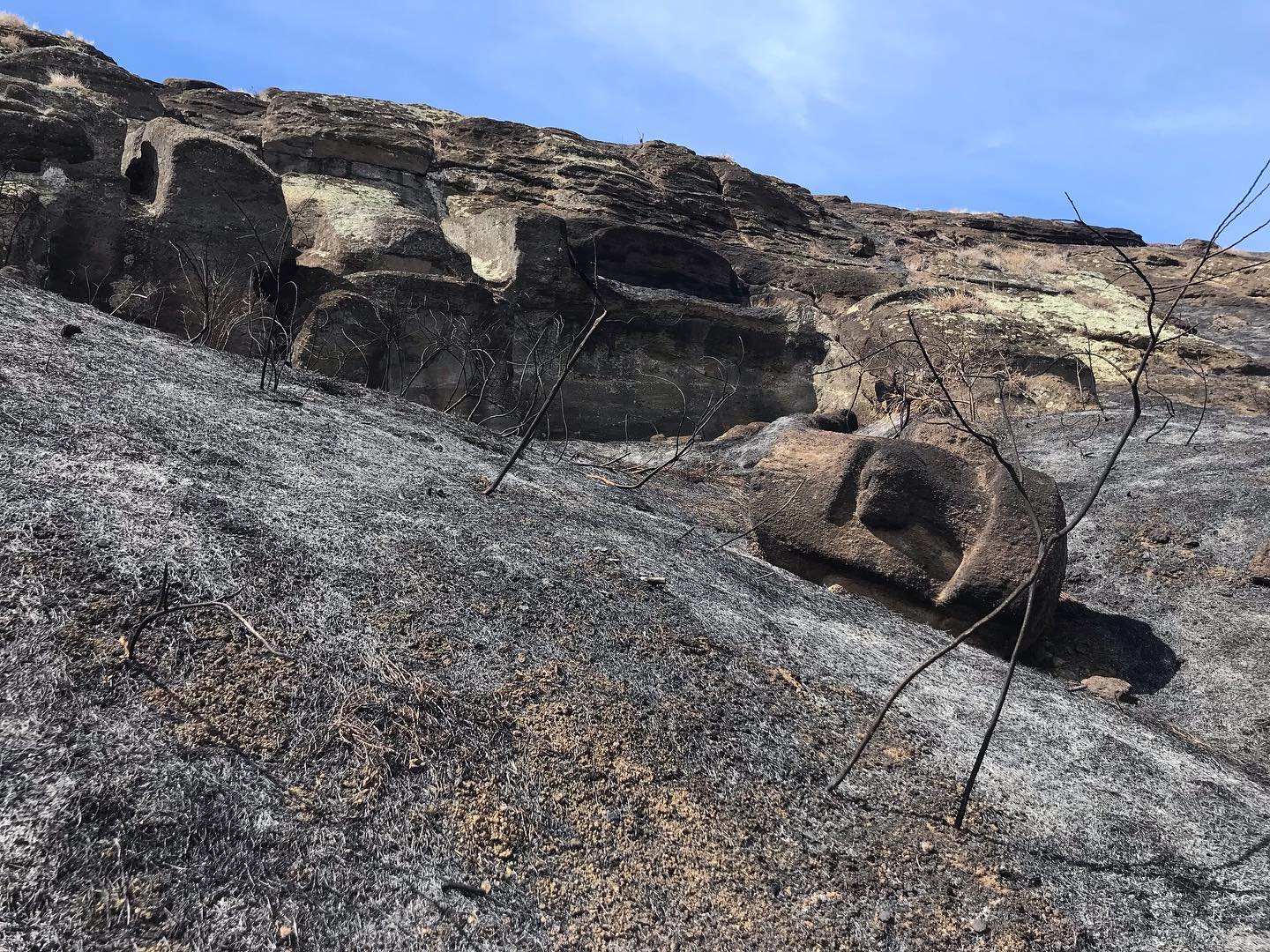 El incendio ha afectado a decenas de estatuas.