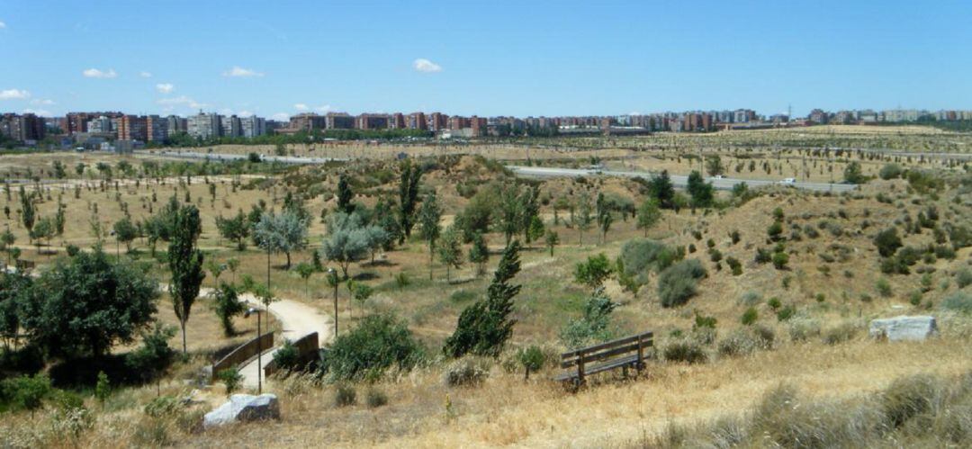 El brote se detectó inicialmente en el entorno del parque Bosquesur, entre Fuenlabrada y Leganés.