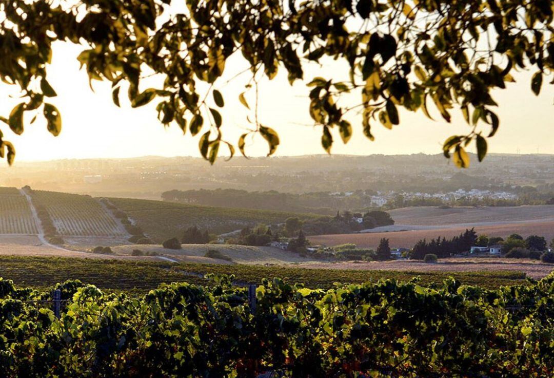 El enoturismo también está presente en esta celebración