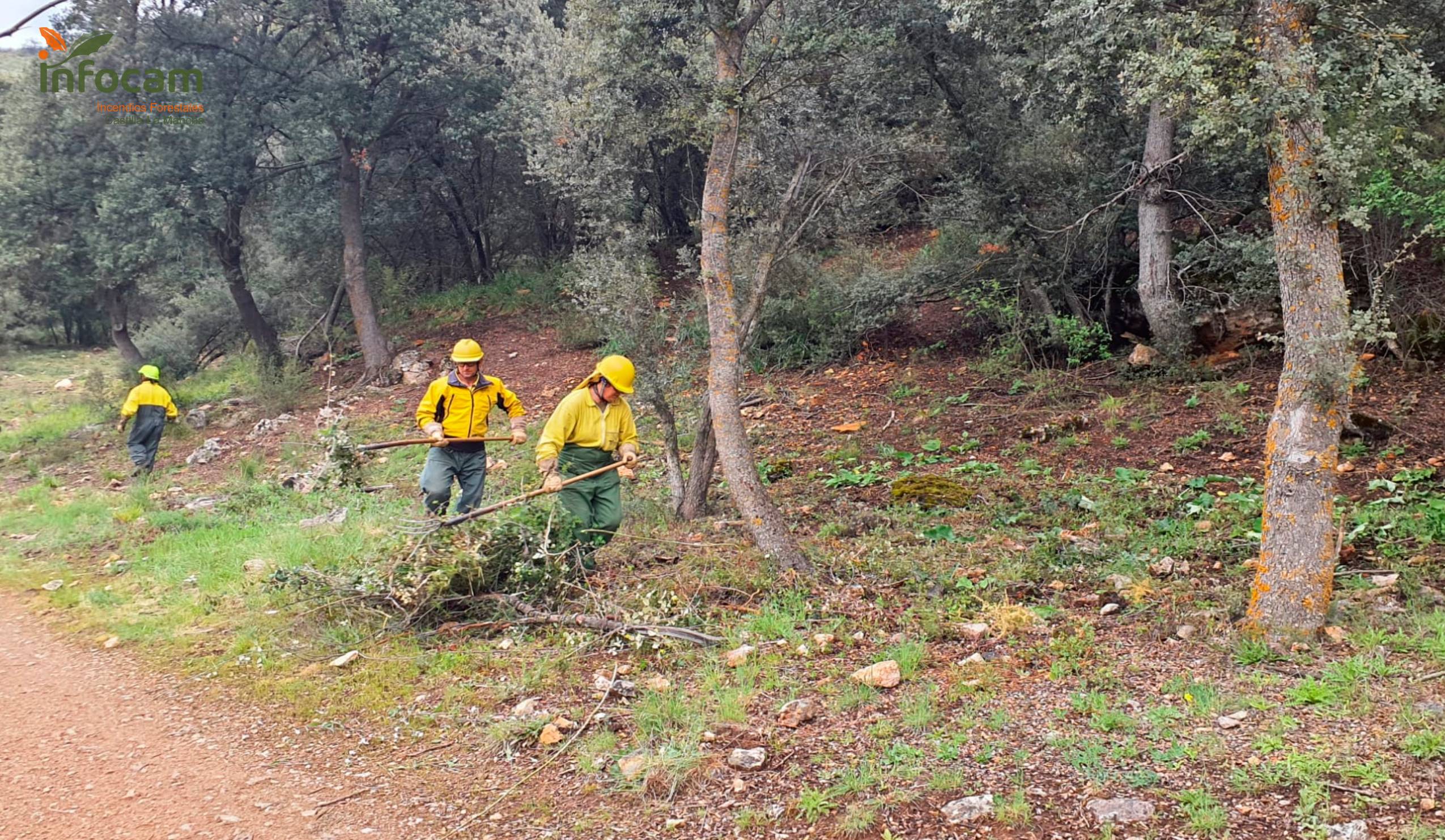 Trabajos de prevención de incendios en las Lagunas de Ruidera