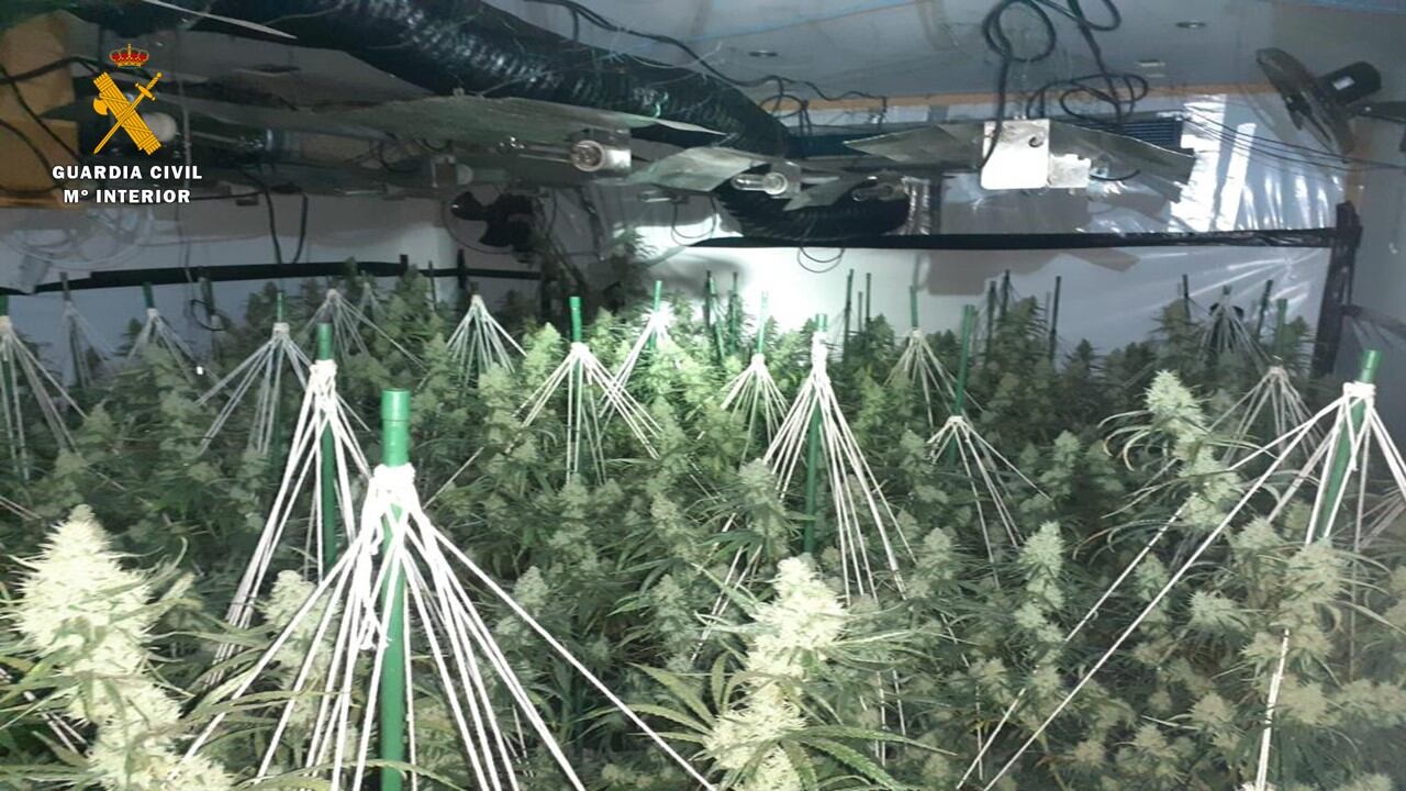 Un incendio en una vivienda descubre una plantación de marihuana en Garrapinillos (Zaragoza)