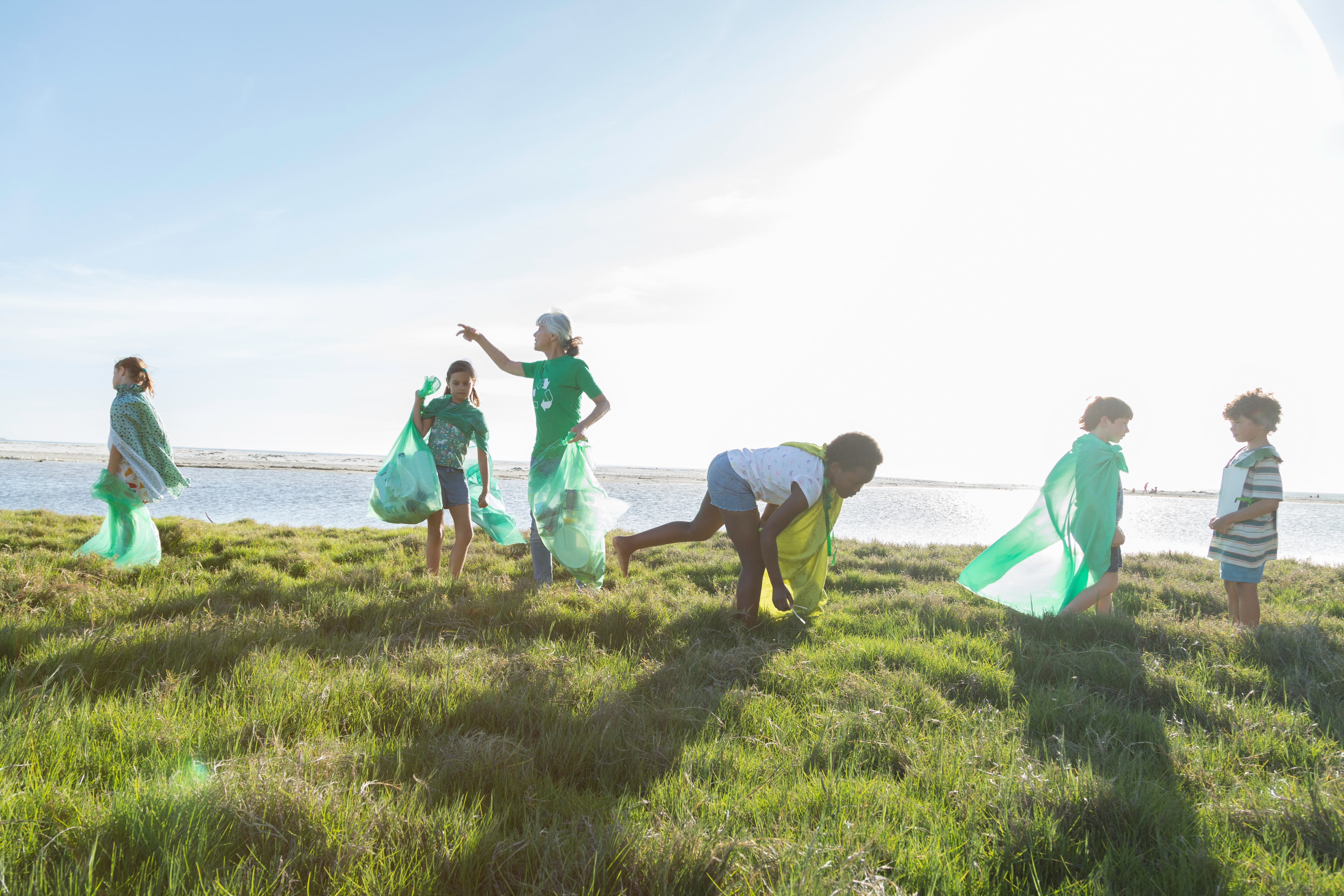 Campos de voluntariado juvenil