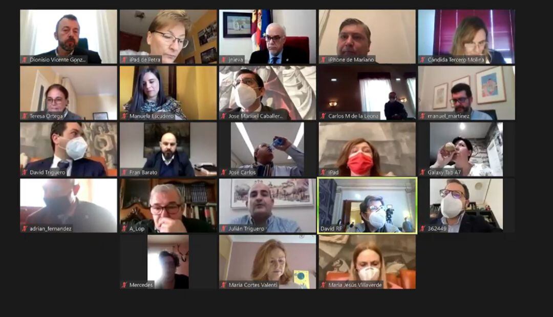 El pleno ordinario de enero se ha celebrado de forma presencial y telemática