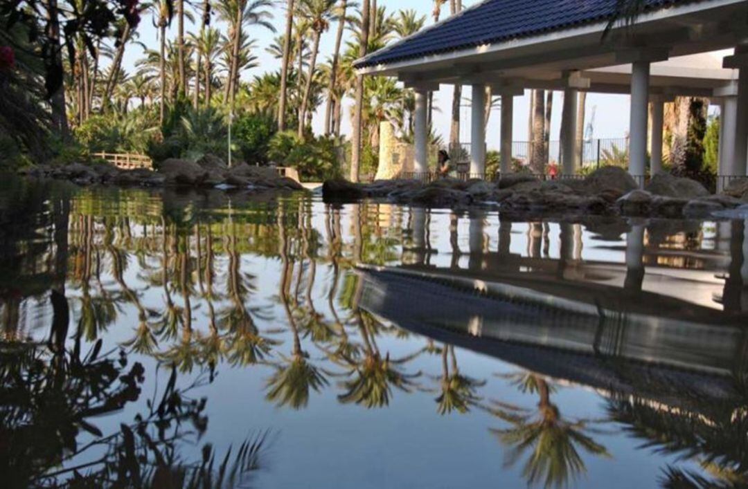 Parque el Palmeral en la ciudad de Alicante 