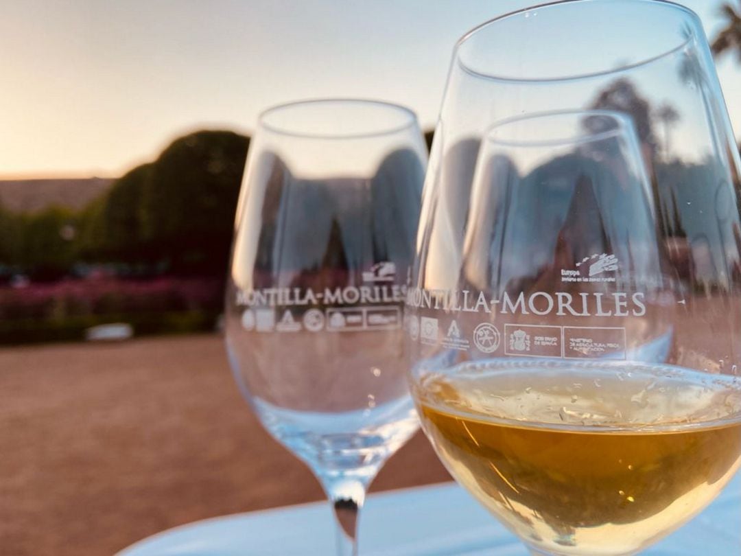 Copa de vino en la cata de sacas especiales de la DOP Montilla Moriles