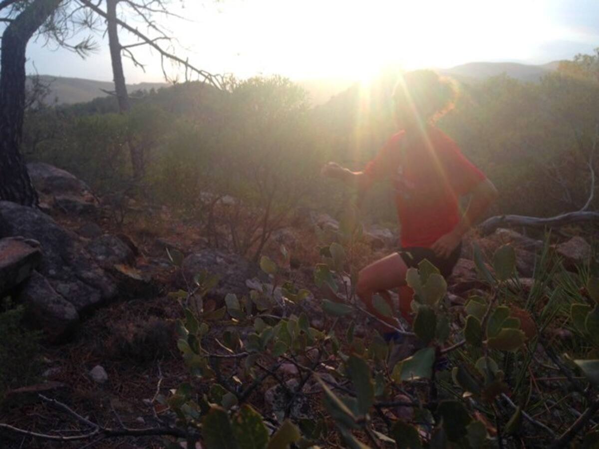 Deporte, solidaridad, ecologismo e integración en Olocau