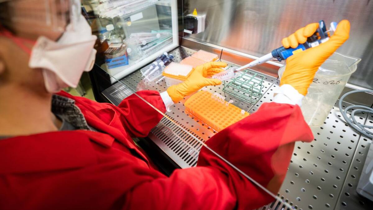 Els casos de covid-19 a la Vall d'Albaida se situen prop del màxim històric