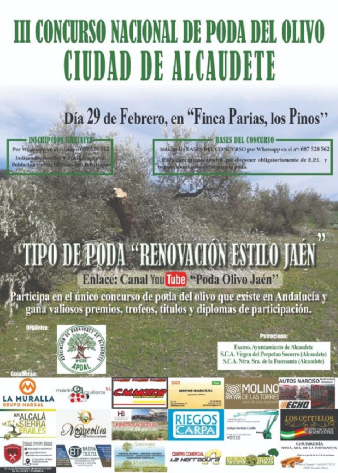 III Concurso de poda &quot;Ciudad de Alcaudete&quot;