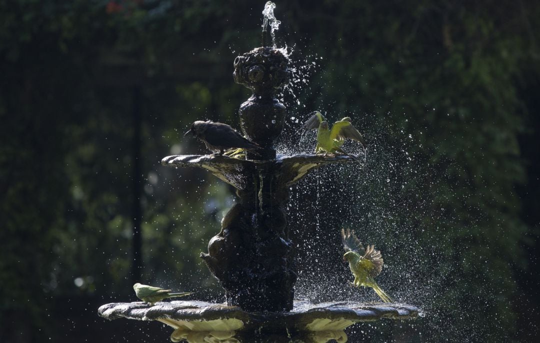 Fuente durante ola de calor