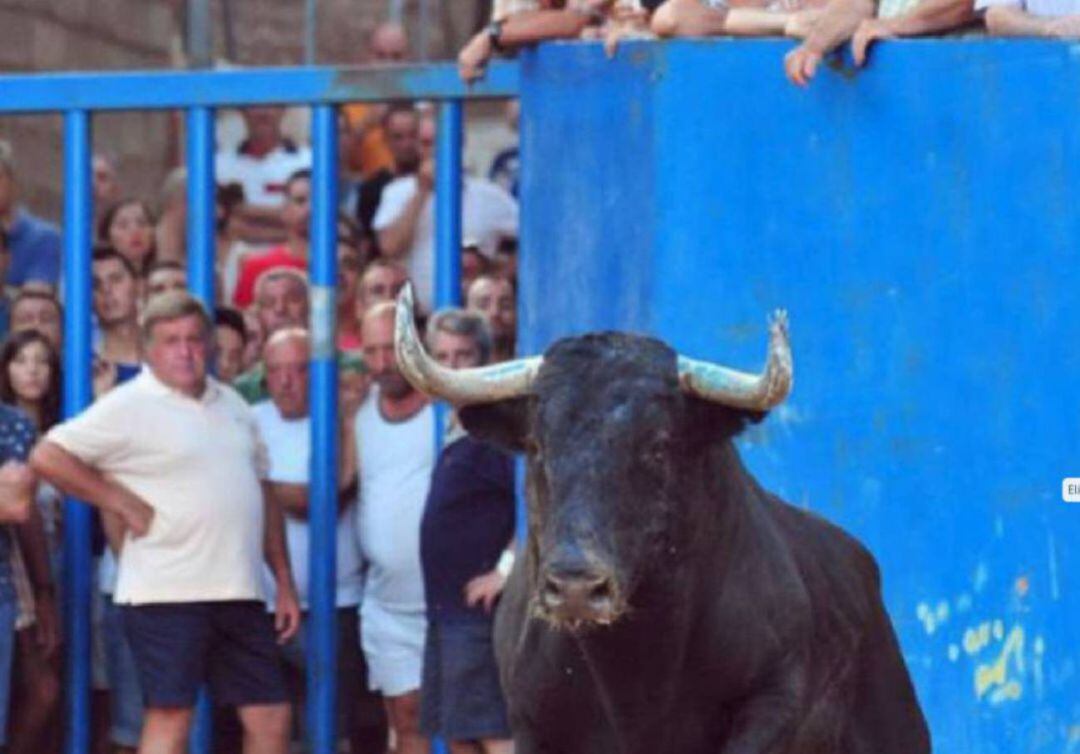 Acto de bous al carrer