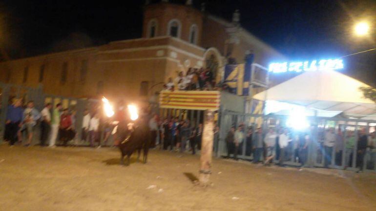 Toro embolado en las fiestas de Vila-real
