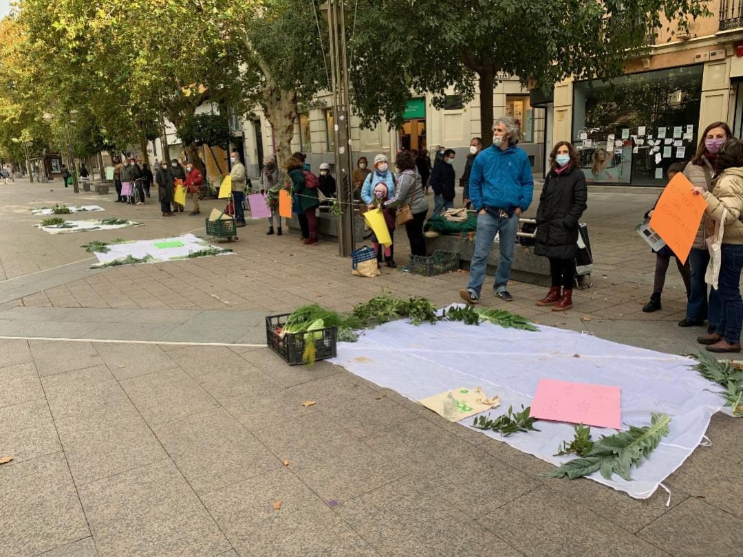 Protesta del Ecomercado