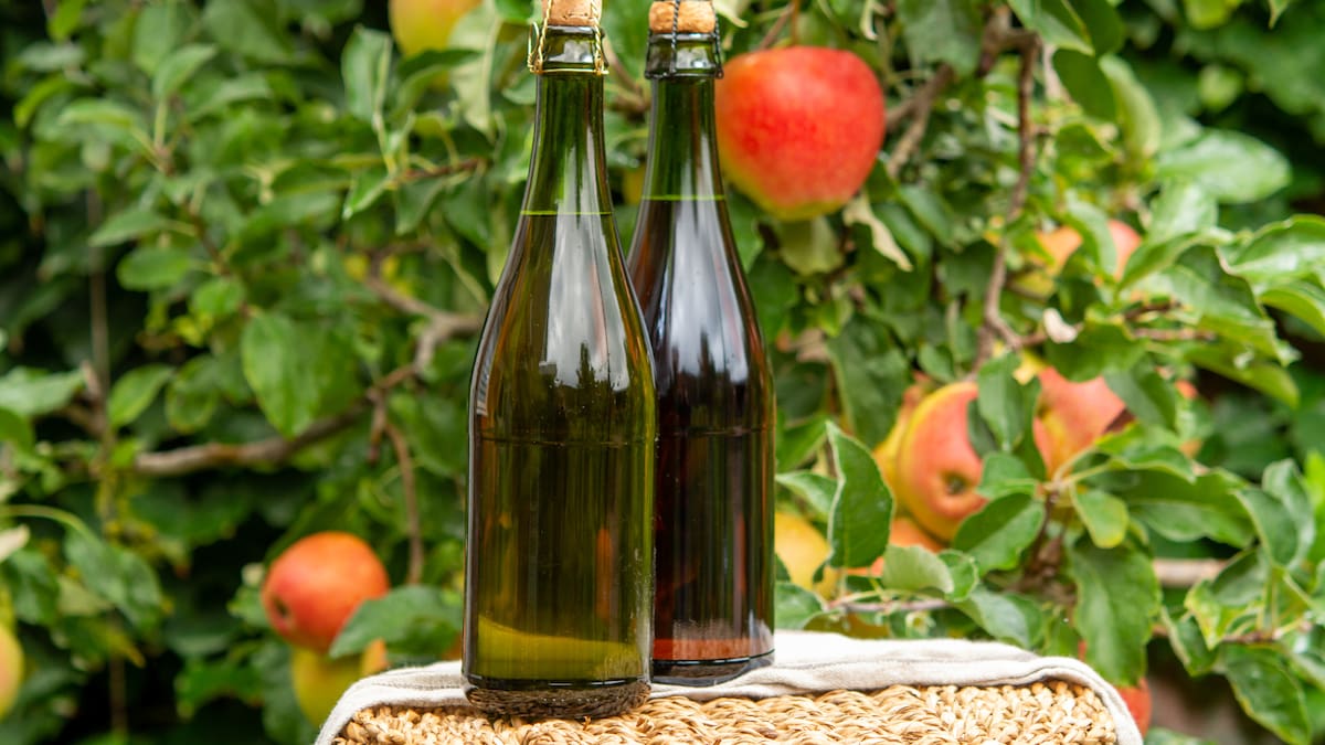 XIII Salón Internacional Sidres de gala