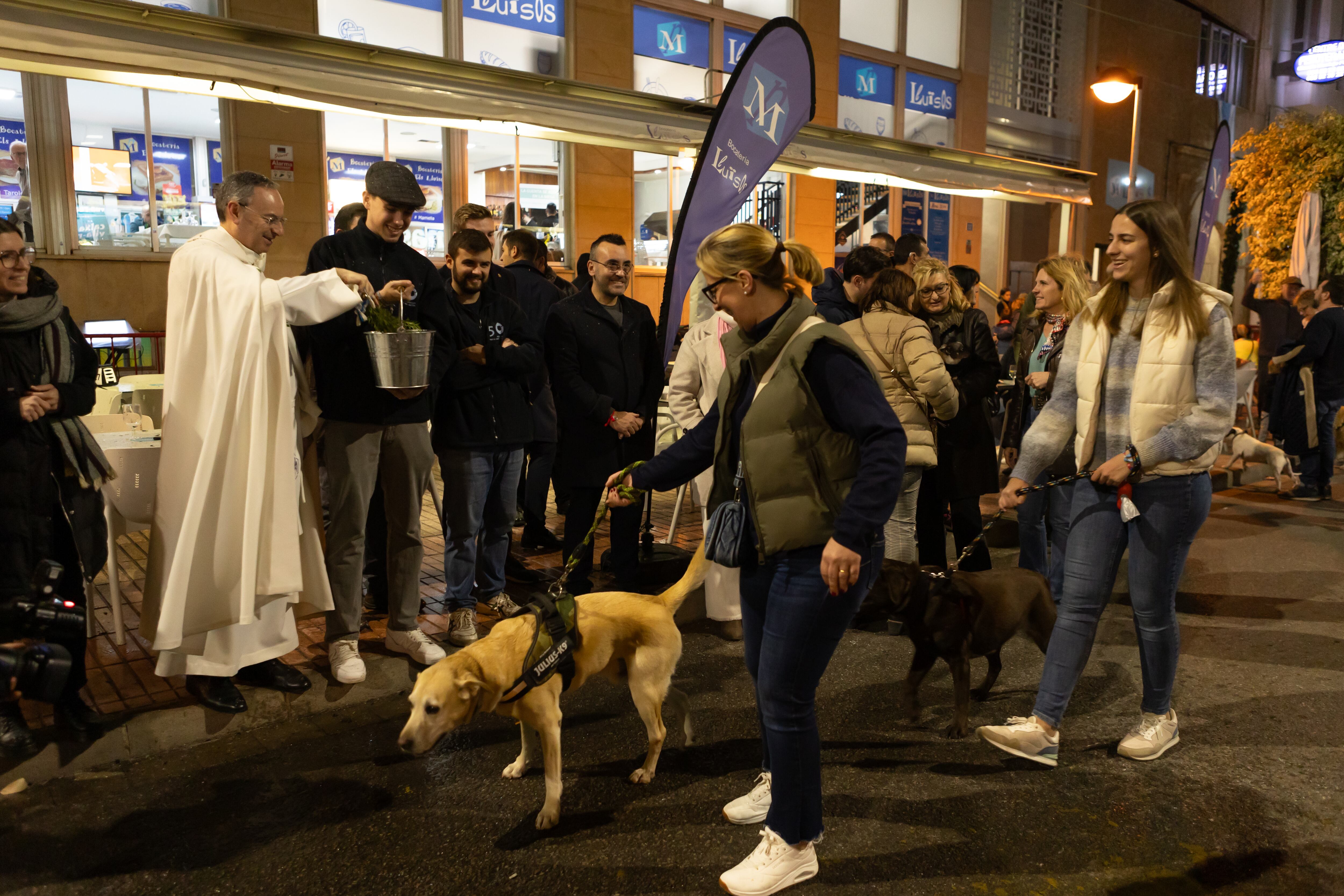 La Matxà de Sant Antoni  en VIla-real