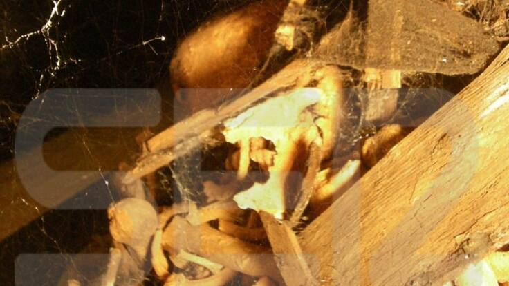 Cinco años ya de la sentencia del Valle de Los Caídos y los muertos siguen ahí