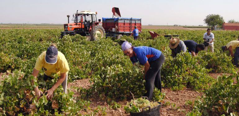 Temporeros trabajando en el campo /Cadena SER