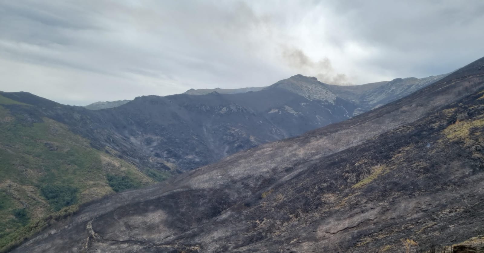 Humo sobre la Sierra de la Cabrera en el límite entre las provincias de Zamora y León en la tarde del miércoles 27 de agosto