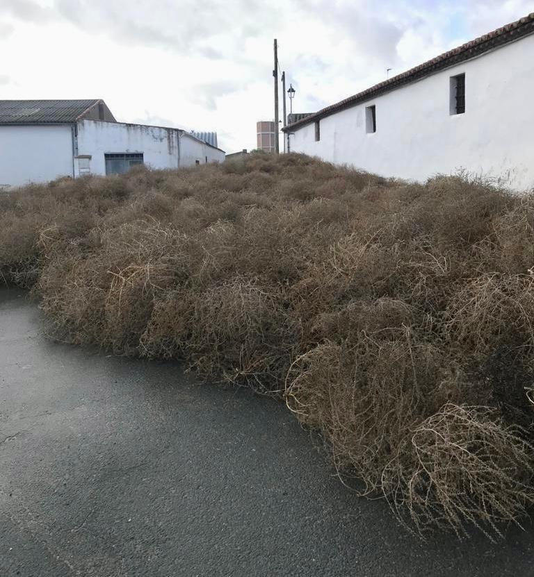 Así han quedado algunas calles de Cabezas del Pozo (Ávila) por el temporal de viento