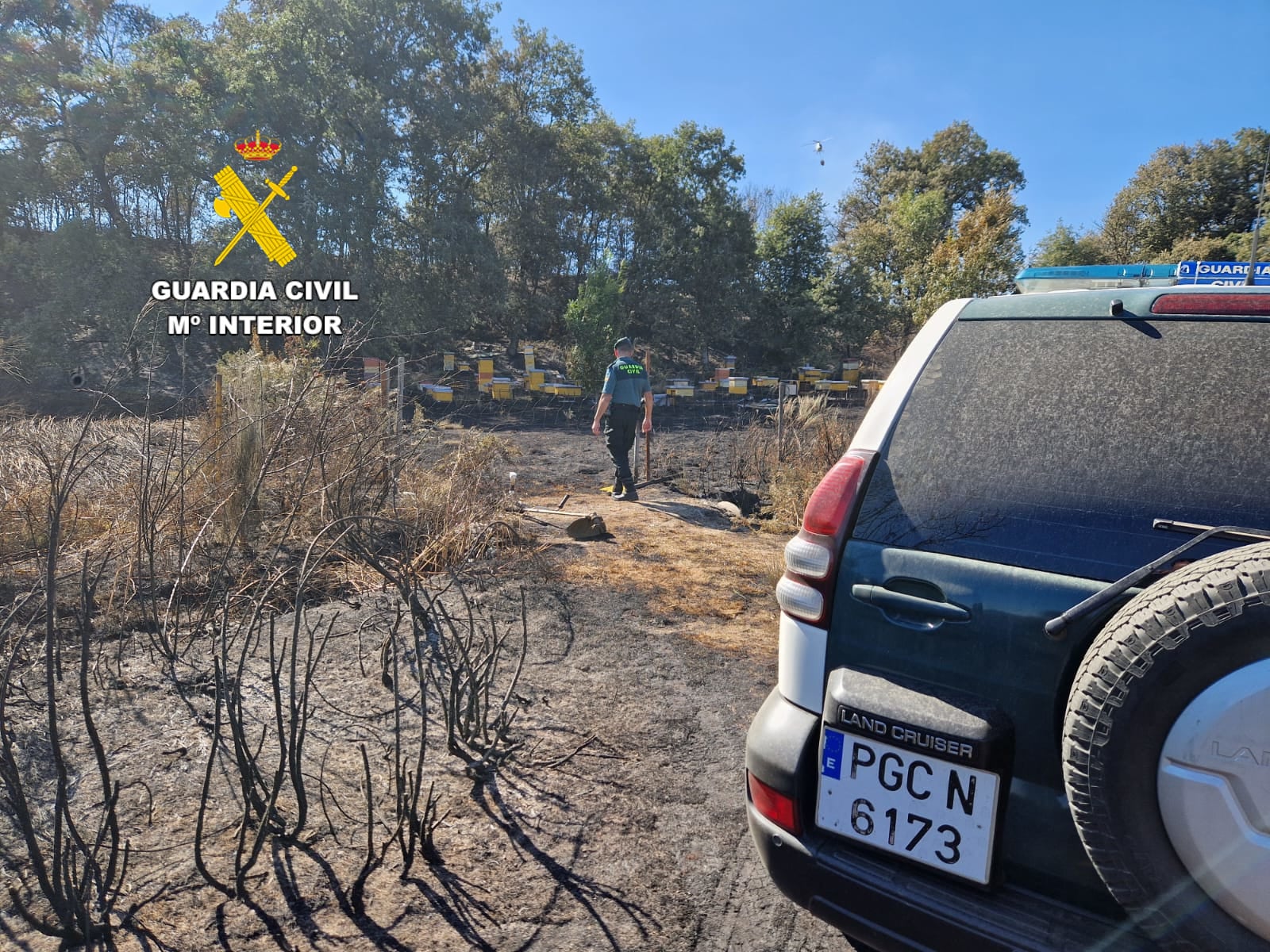 La Guardia Civil, sobre el terreno