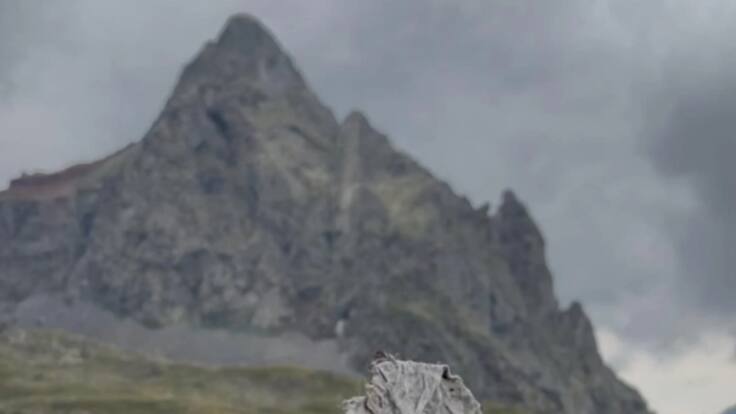 Víctor Ezquerra, biólogo