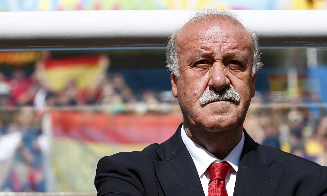 Vicente Del Bosque en un partido con la Selección Española