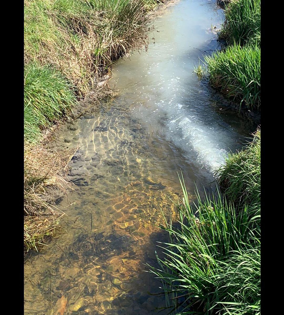 Punto de vertido de la EDAR a la Zaya del río Tuerto