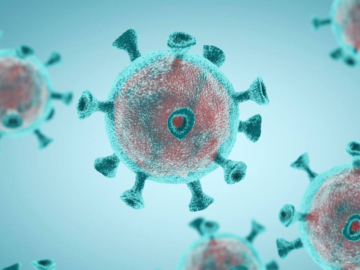Coronavirus en Castilla y León: última hora de los afectados