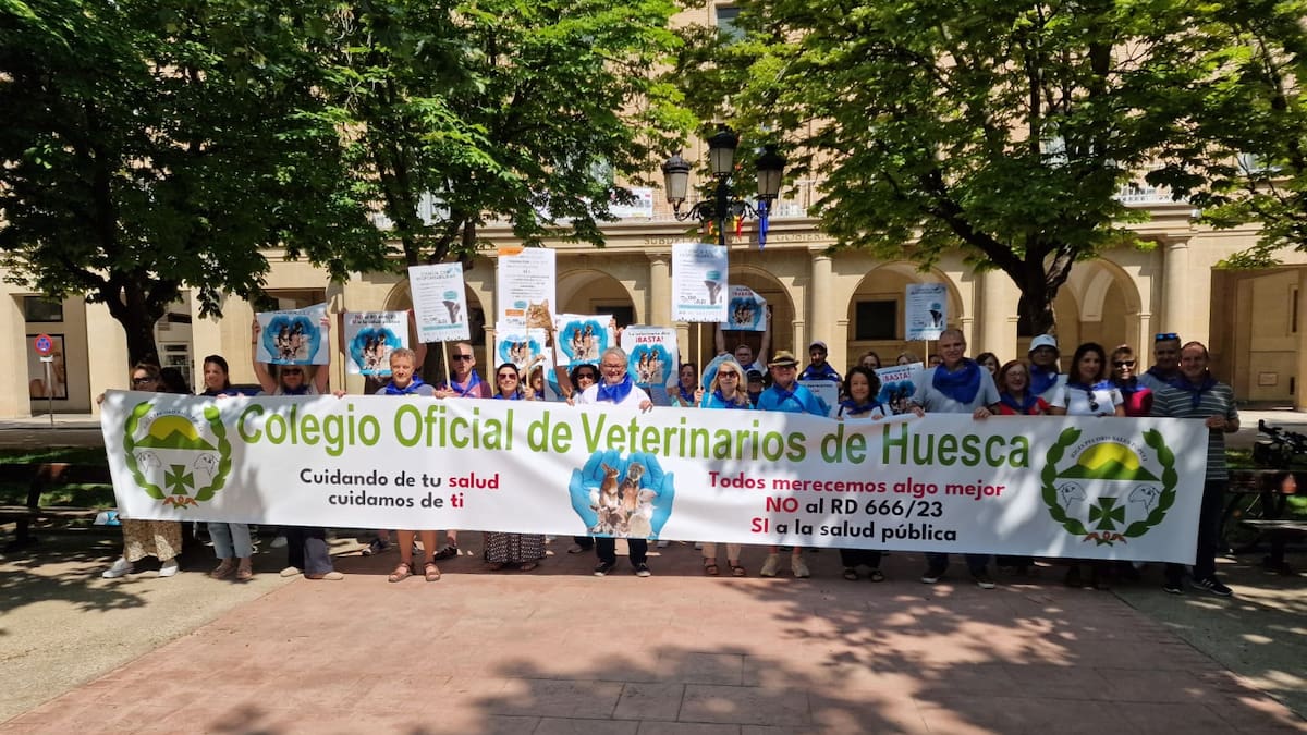 "Merecemos algo mejor": los veterinarios se manifiestan en Huesca