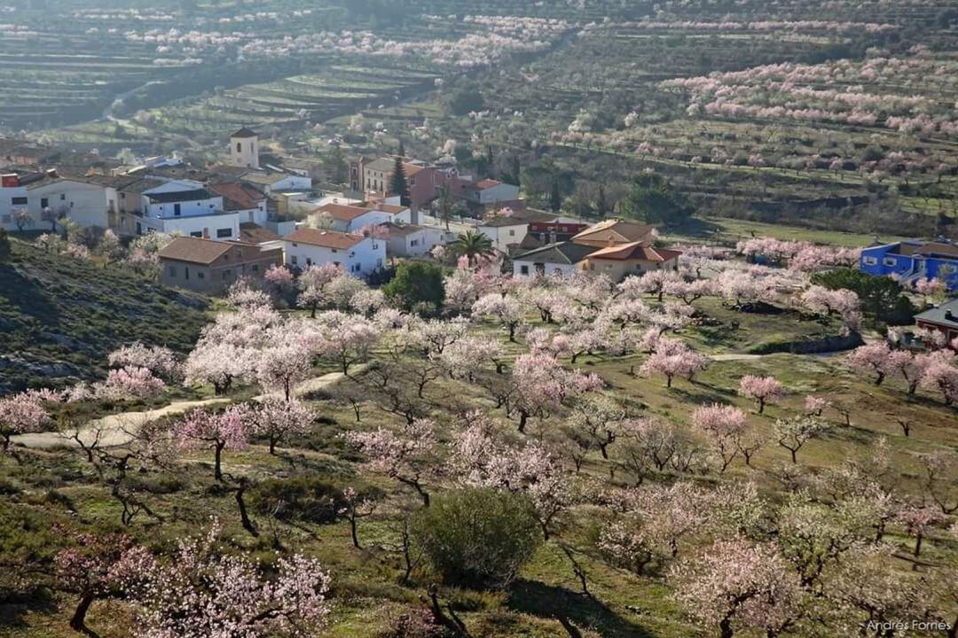 El Consell aprueba el topónimo Fageca para este municipio de El Comtat.