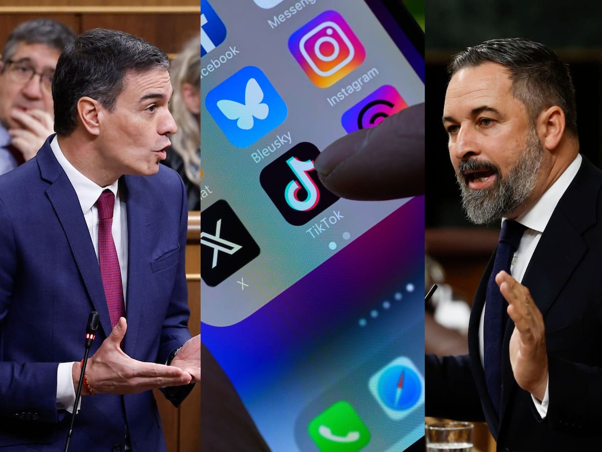 El fenómeno de 'Pedro Sánchez dimisión' que ha arrasado en TikTok