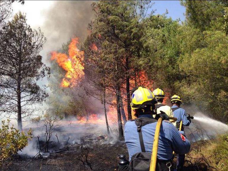 Els Bombers d'Alcover treballant a l'incendi forestal de Montblanc