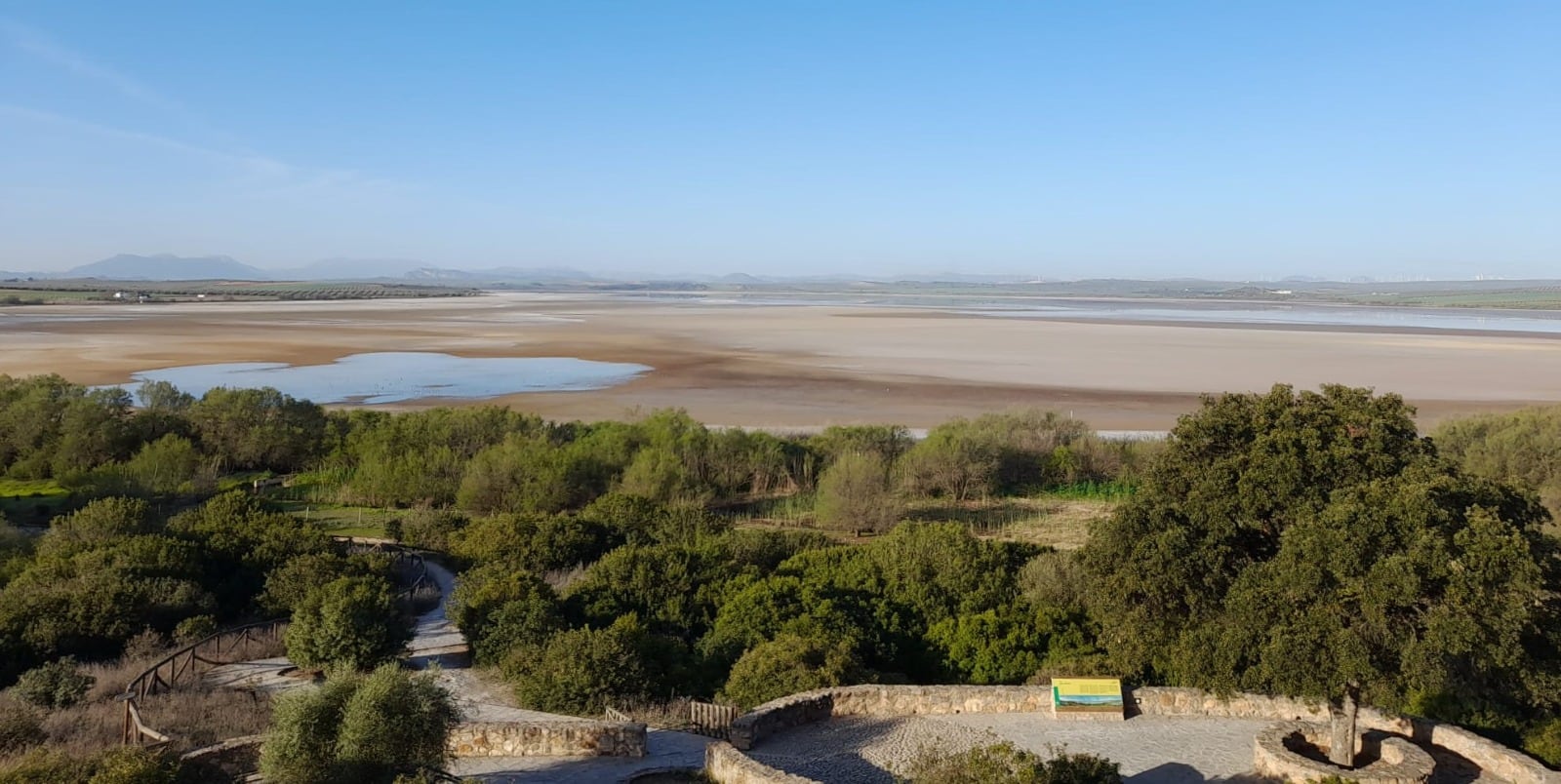 Estado actual de la Laguna de Fuente de Piedra