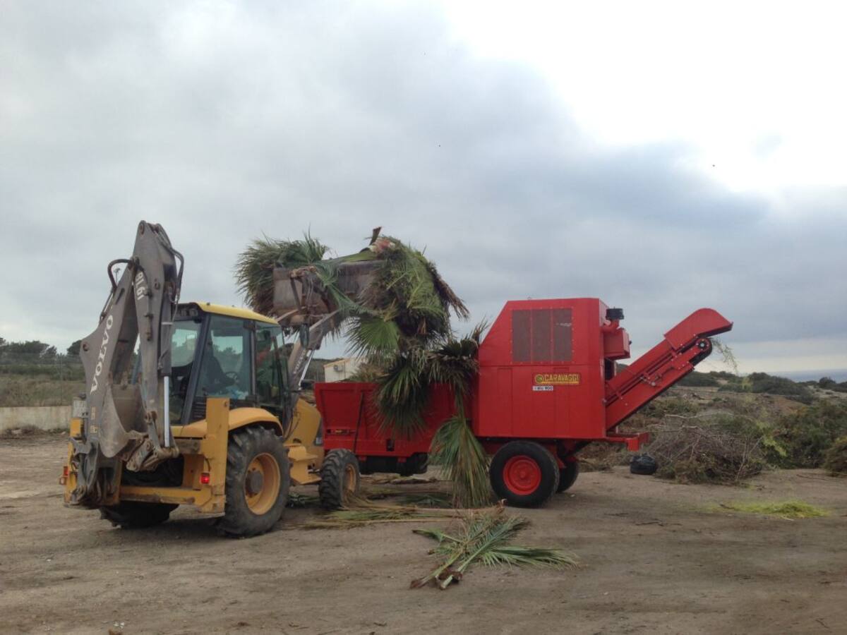 Formentera inicia una campaña de reparto de materia orgánica por los campos de la isla