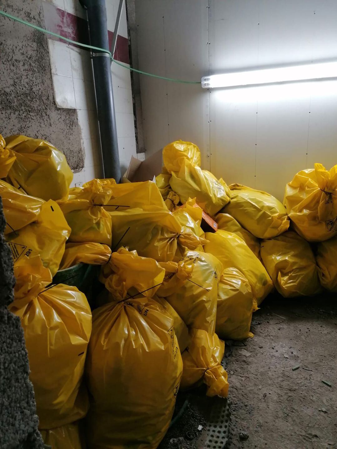 Bolsas de material biológico amontonadas en un lateral de La Candelaria. 