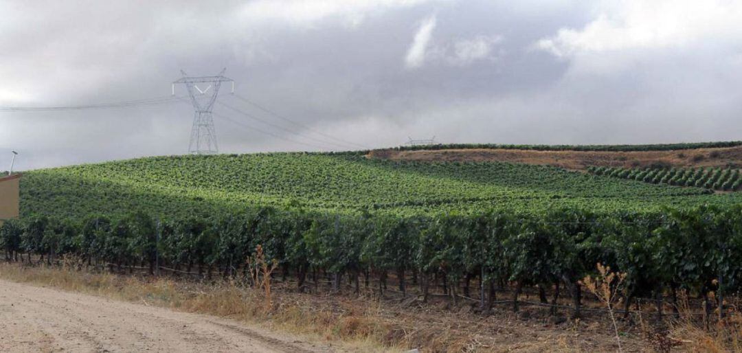 El campo, afectado por el clima