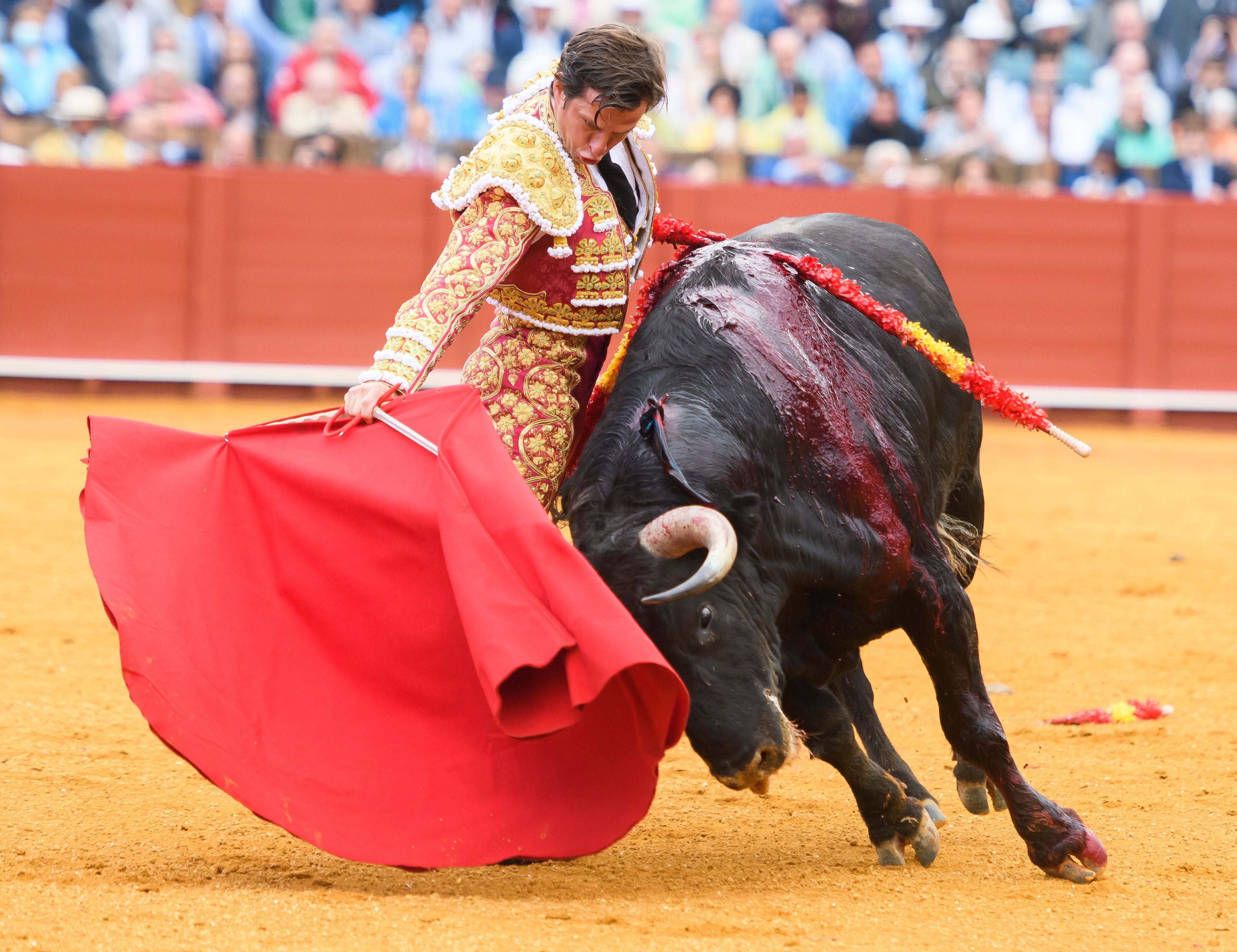 SEVILLA, 04/05/2022.- El diestro Julián López &quot;El Juli&quot; con su primer toro de la tarde este miércoles en la Plaza de La Maestranza de Sevilla, al que ha cortado dos orejas. EFE/ Raúl Caro.
