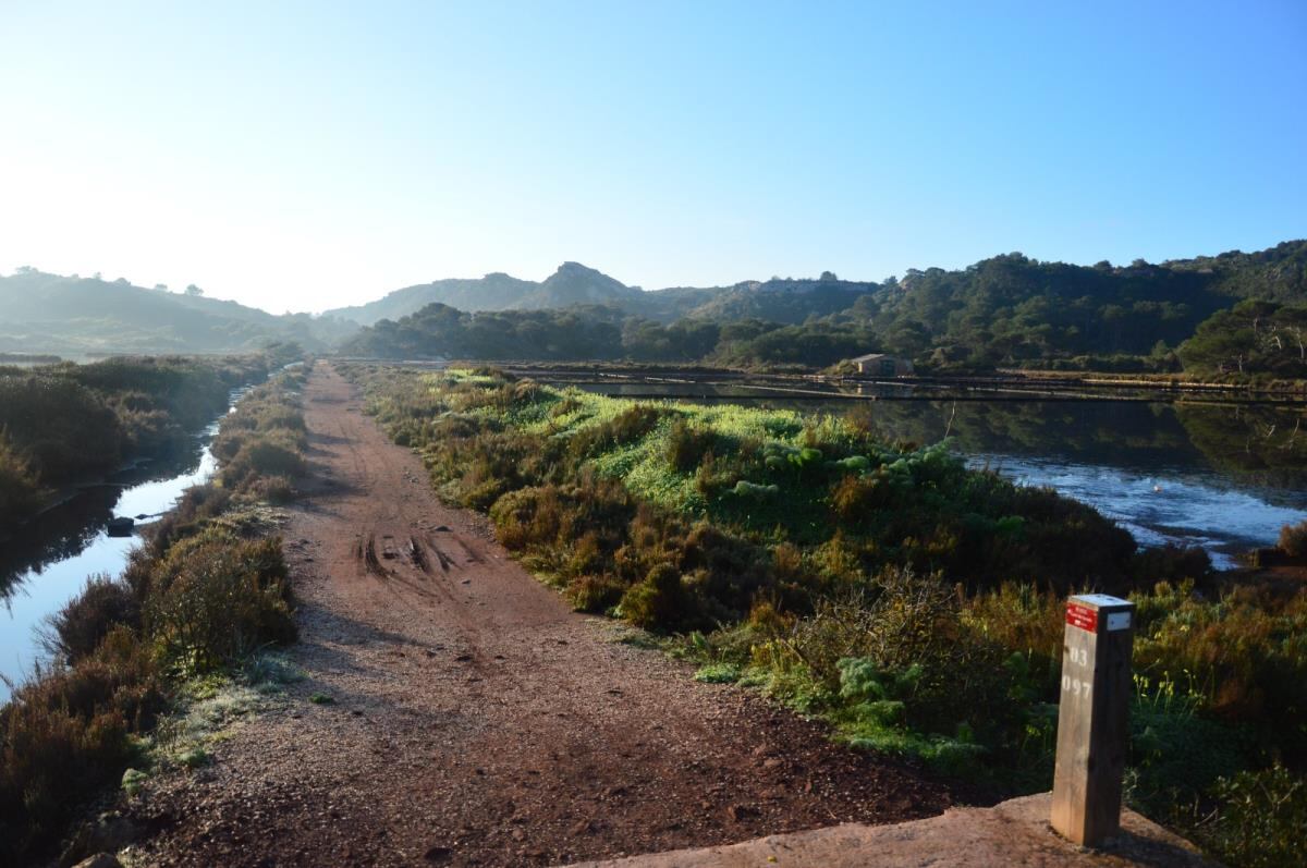 Ses Salines d'Addaia