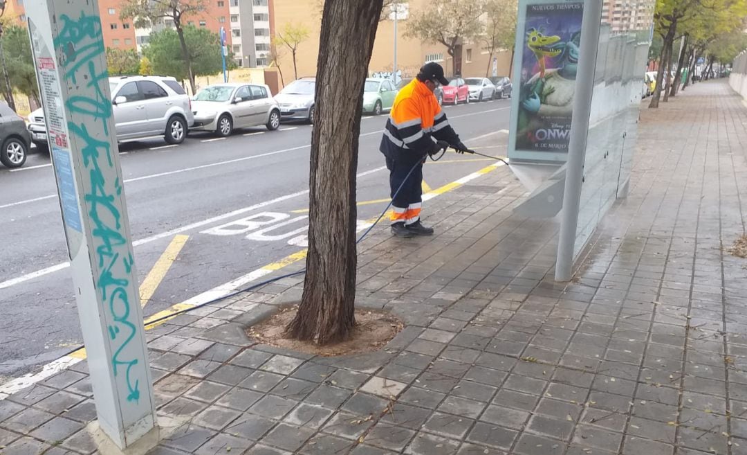 Operario del servicio de limpieza viaria de Alicante