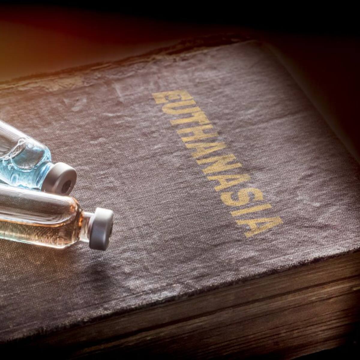 La ley de Eutanasia se aplica "correctamente" en la Comunitat, pero falta información y transparencia