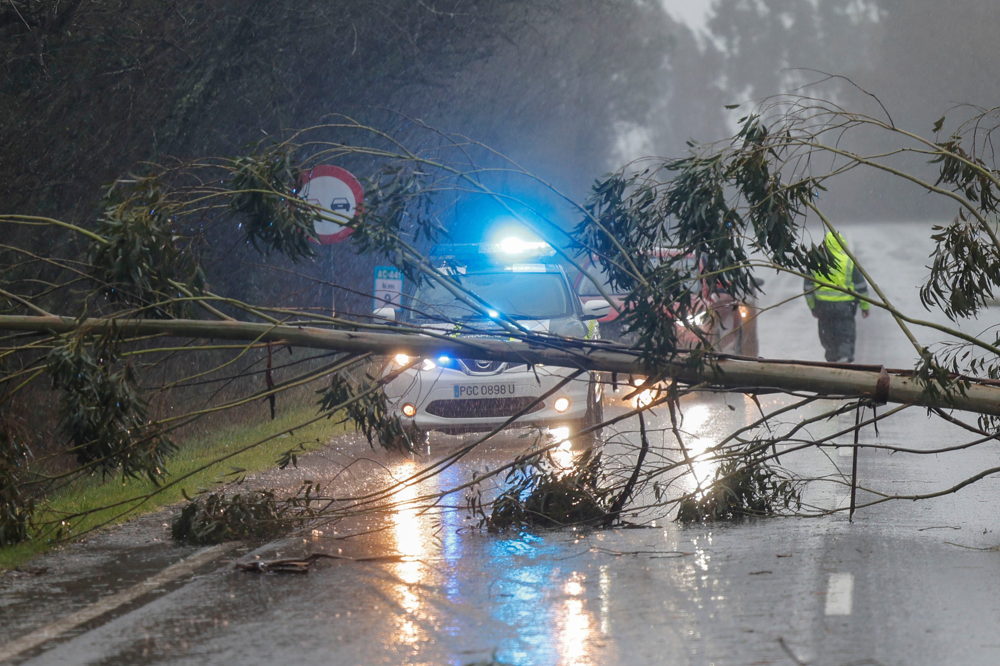 Árbol sobre la calzada al paso del temporal HerminiaEFE/Lavandeira jr