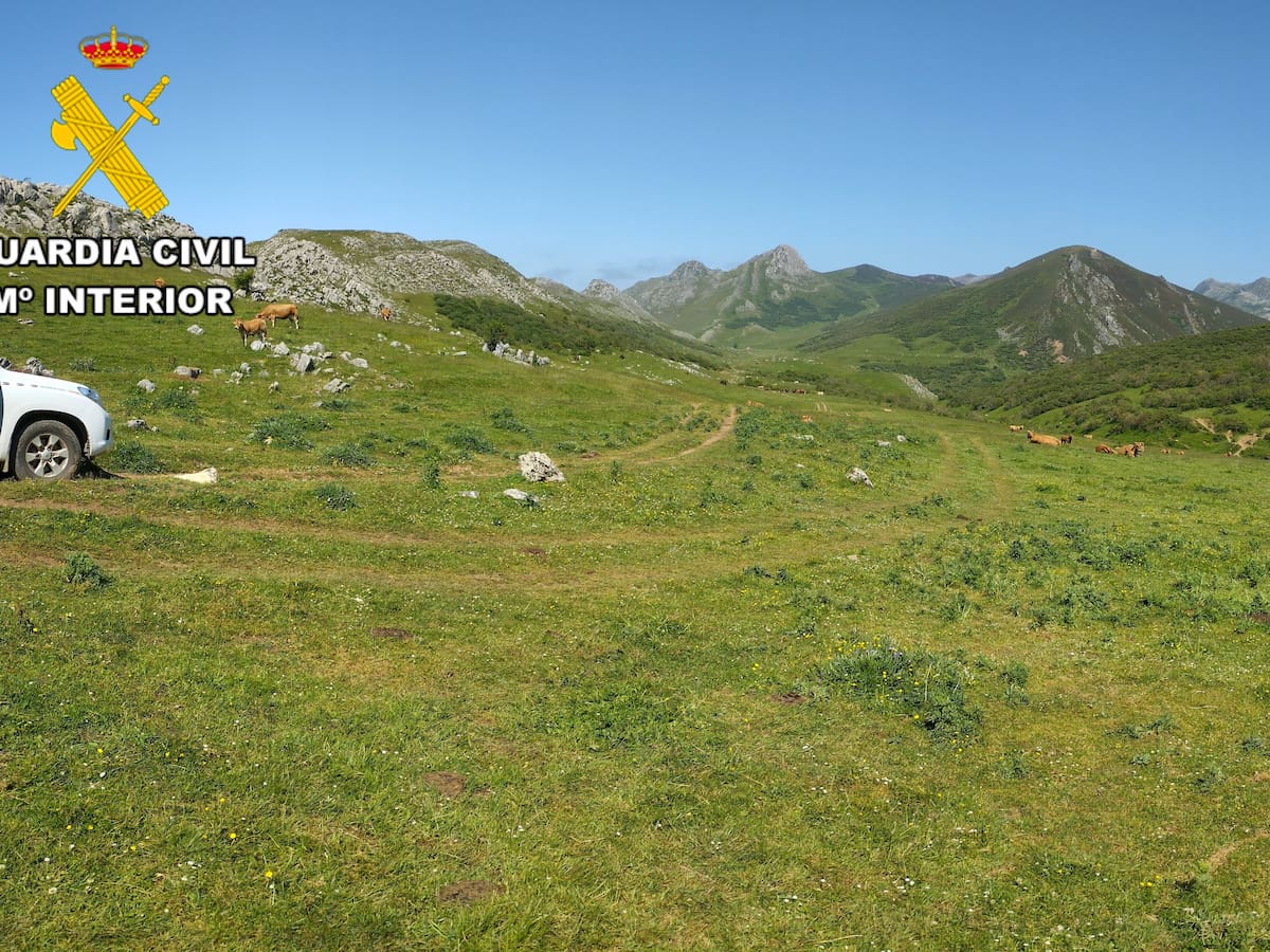 Dos ganaderos investigados por presuntos delitos de hurto en pastos privados en la Sierra de los Ancares leoneses