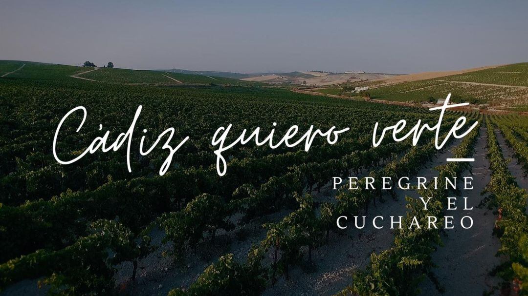 Una de las imágenes del vídeo