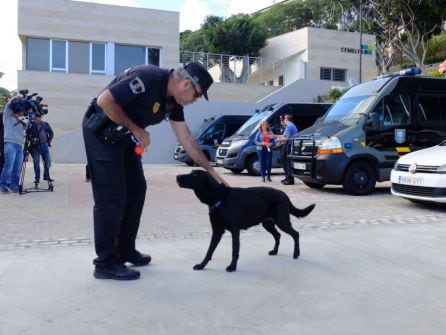 Duna en su presentación como miembro de la Ucapol el pasado diciembre.