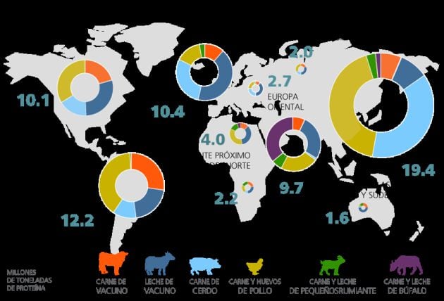 Producción ganadera mundial por región (leche y huevos expresados en proteínas).