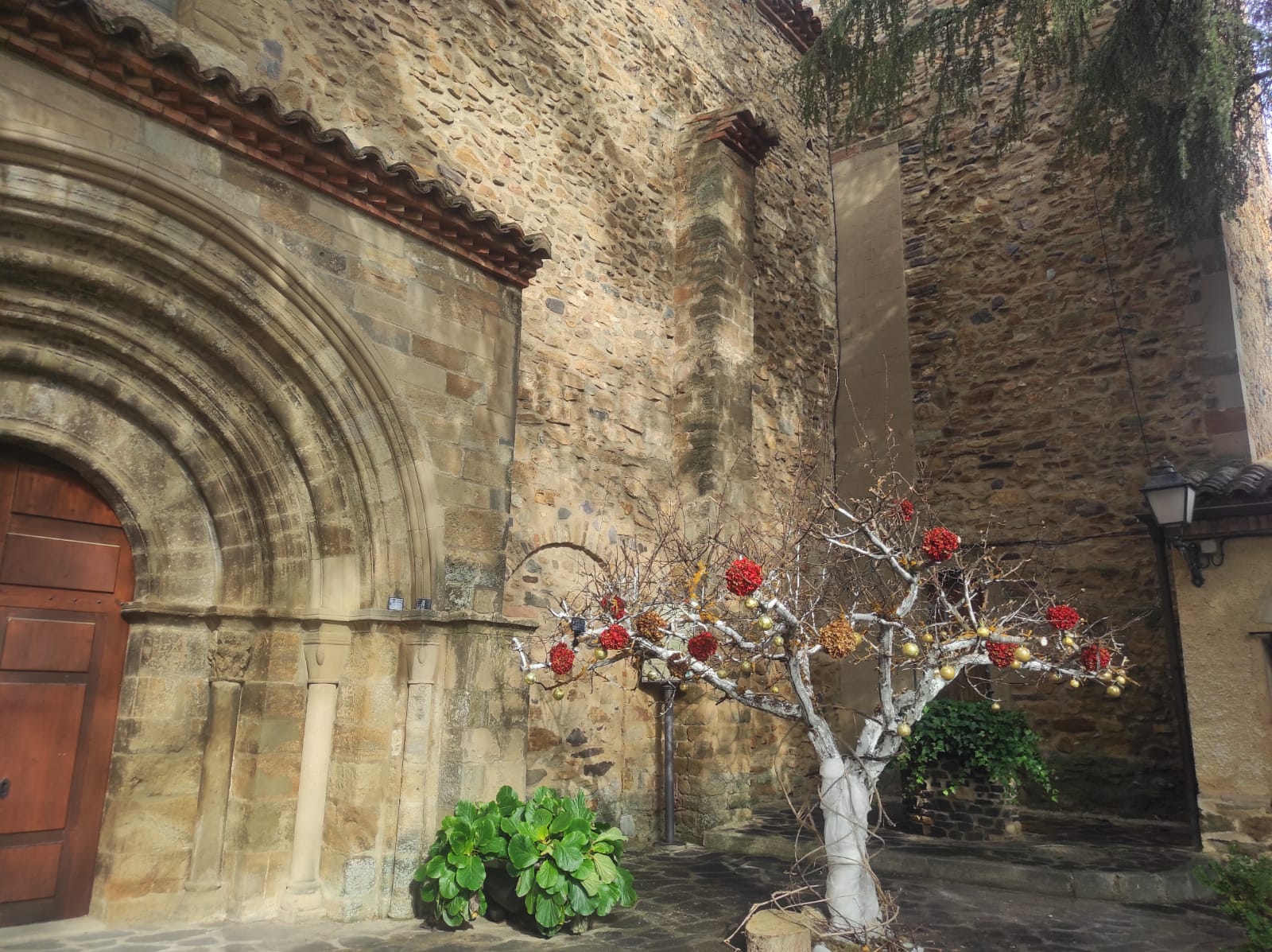 Los frutales que se quemaron en el incendio del Moncayo se han convertido en los árboles de Navidad del pueblo